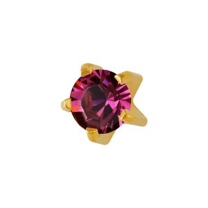 Regular February Amethyst Tiffany Gold Plated over Surgical Stainless Steel
