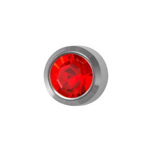Regular July Ruby Bezel Surgical Stainless Steel