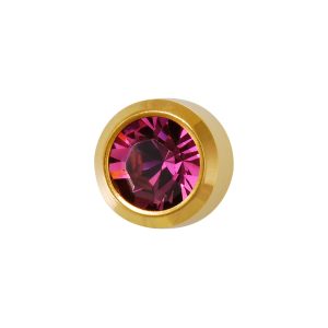 Regular February Amethyst Bezel Gold Plated over Surgical Stainless Steel