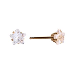 5mm Cubic Zirconia Star Gold Plated over Surgical Stainless Steel
